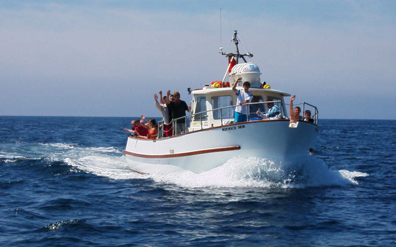 Plymouth Boat Trips Fishing - Slide Six