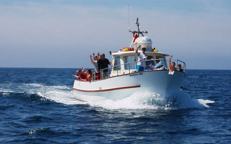 deep sea fishing trips plymouth