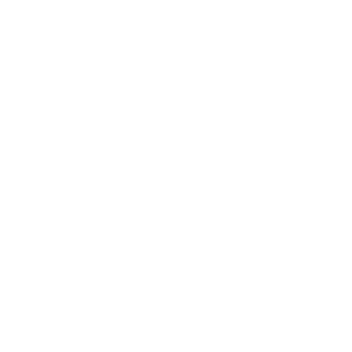 Text Overlay