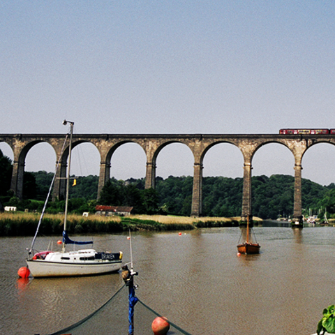 plymouth boat trips calstock