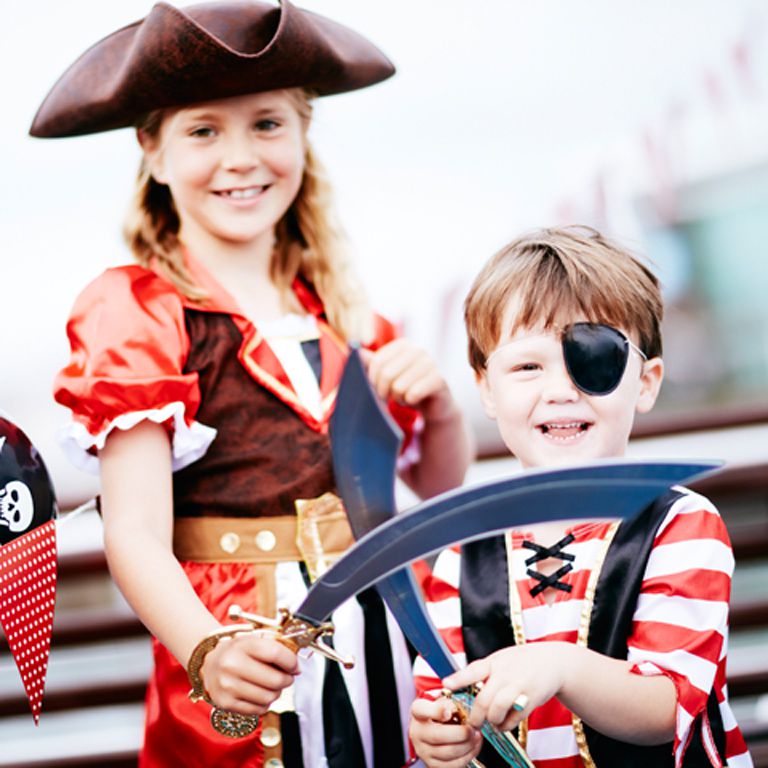 Plymouth Boat Trips Special & Themed Cruises